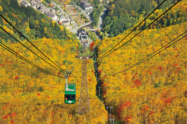 3942日本で一番早い紅葉　大雪山「黒岳」と秋の北海道周遊