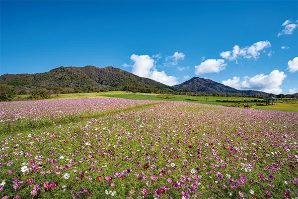9914蒜山ウォークフェスティバル