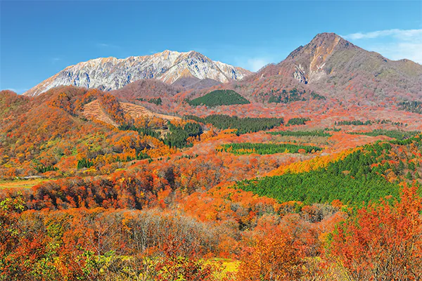 4735名峰大山の紅葉観賞とサントリー天然水 奥大山ブナの森工場見学