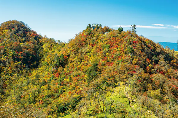 9936日本三大修験山のひとつ 英彦山(ひこさん)